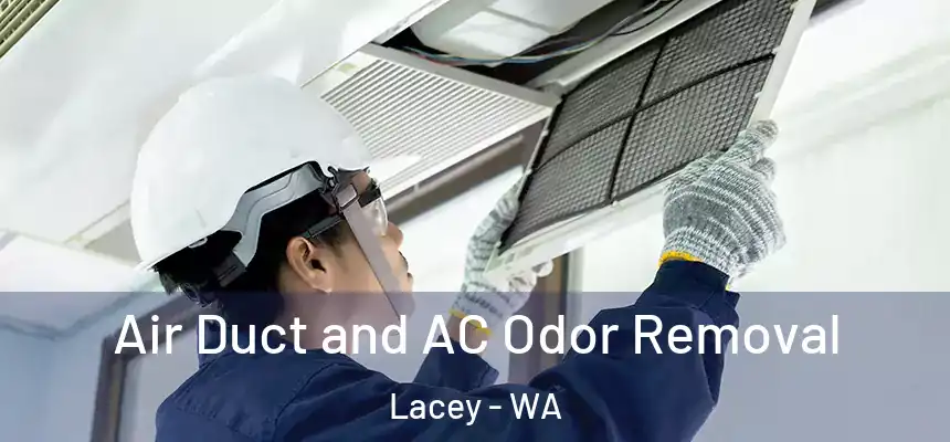 Air Duct and AC Odor Removal Lacey - WA