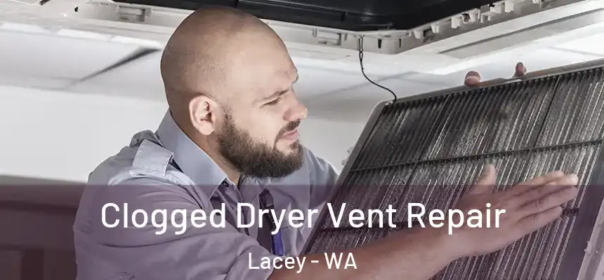  Clogged Dryer Vent Repair Lacey - WA