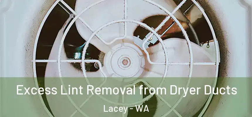 Excess Lint Removal from Dryer Ducts Lacey - WA