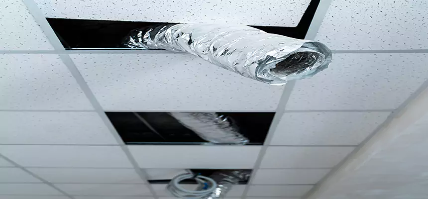 Affordable HVAC Sanitizing After Pest Removal in Lacey