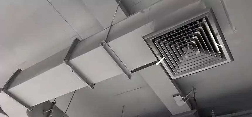 Restorative Allergy Relief Vent Cleaning – Coil, Blower & Housing Detail in Lacey