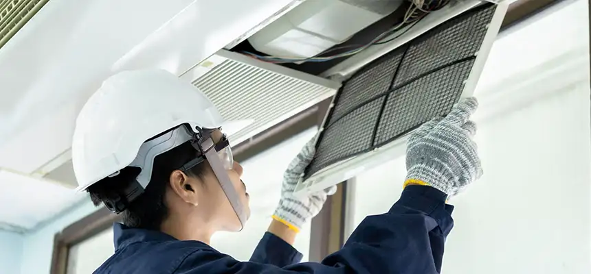 Our Lint Trap Cleaning Service Services in Lacey, WA