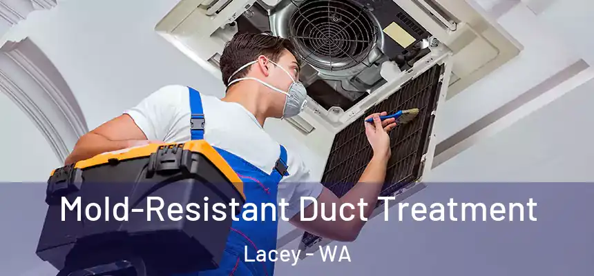  Mold-Resistant Duct Treatment Lacey - WA