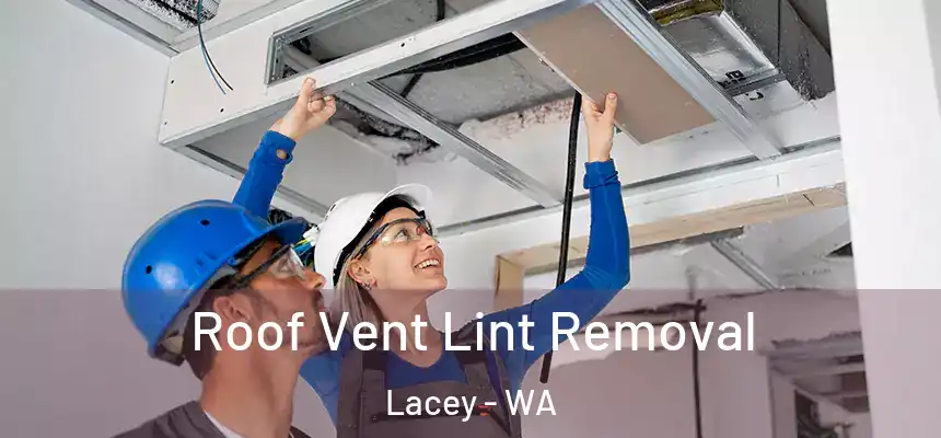 Roof Vent Lint Removal Lacey - WA