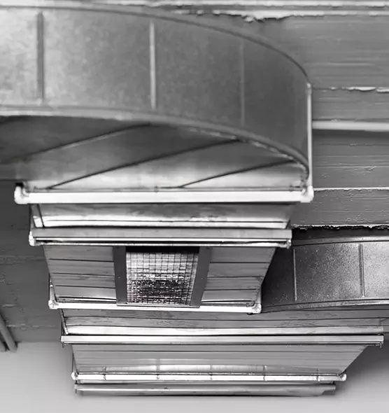 Professional Air Duct Pet Hair Removal in Lacey, WA