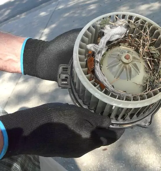 About Air Duct Rat Removal in Lacey, WA