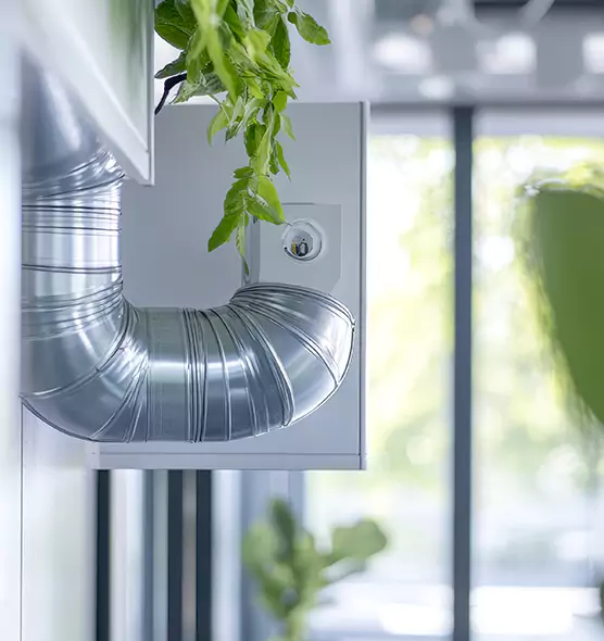 Professional Eco-Safe Dryer Vent Cleaning in Lacey, WA