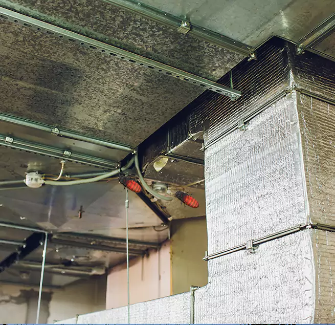 Why Homeowners & Businesses Trust Us in Lacey, WA?