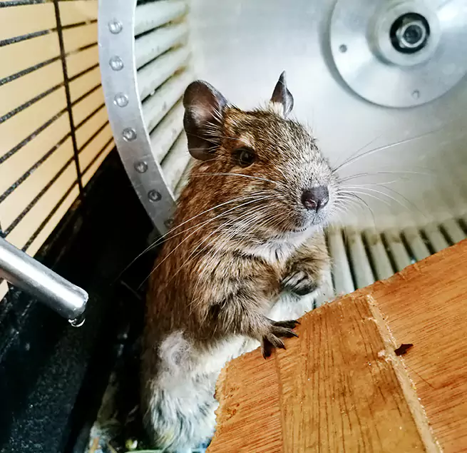 Why Homeowners & Businesses Trust Us Lacey, WA