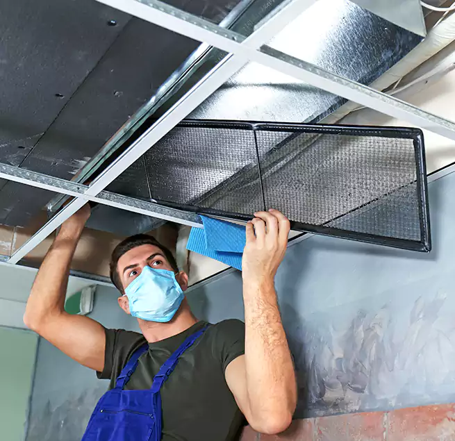 Why Homeowners Businesses Trust Us in Lacey, WA