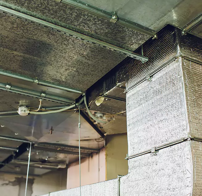 Why Homeowners & Businesses Trust Us in Lacey, WA?