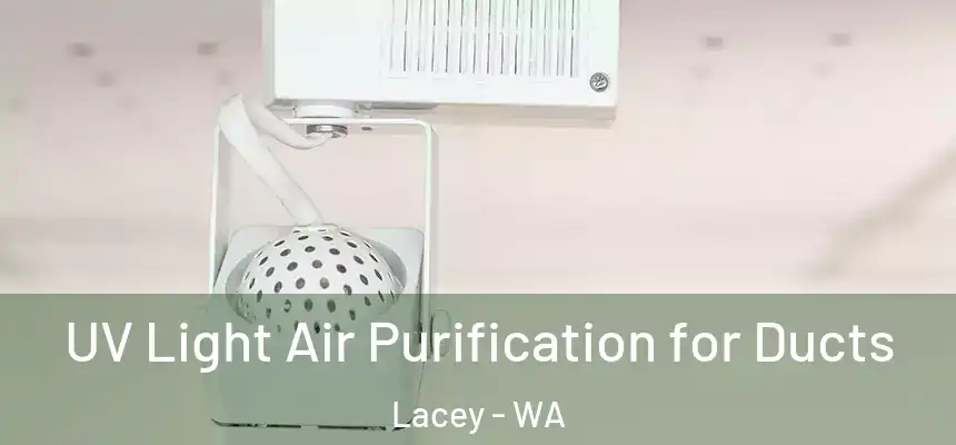  UV Light Air Purification for Ducts Lacey - WA